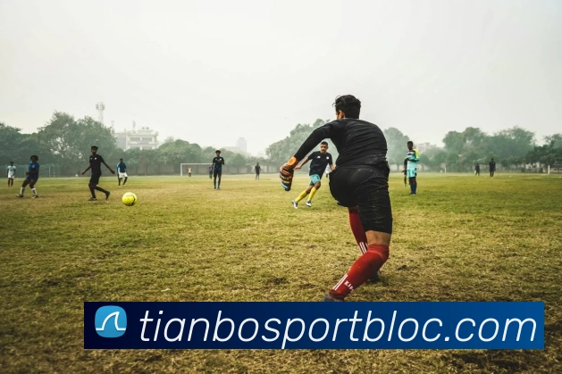 天博足球平台生态图